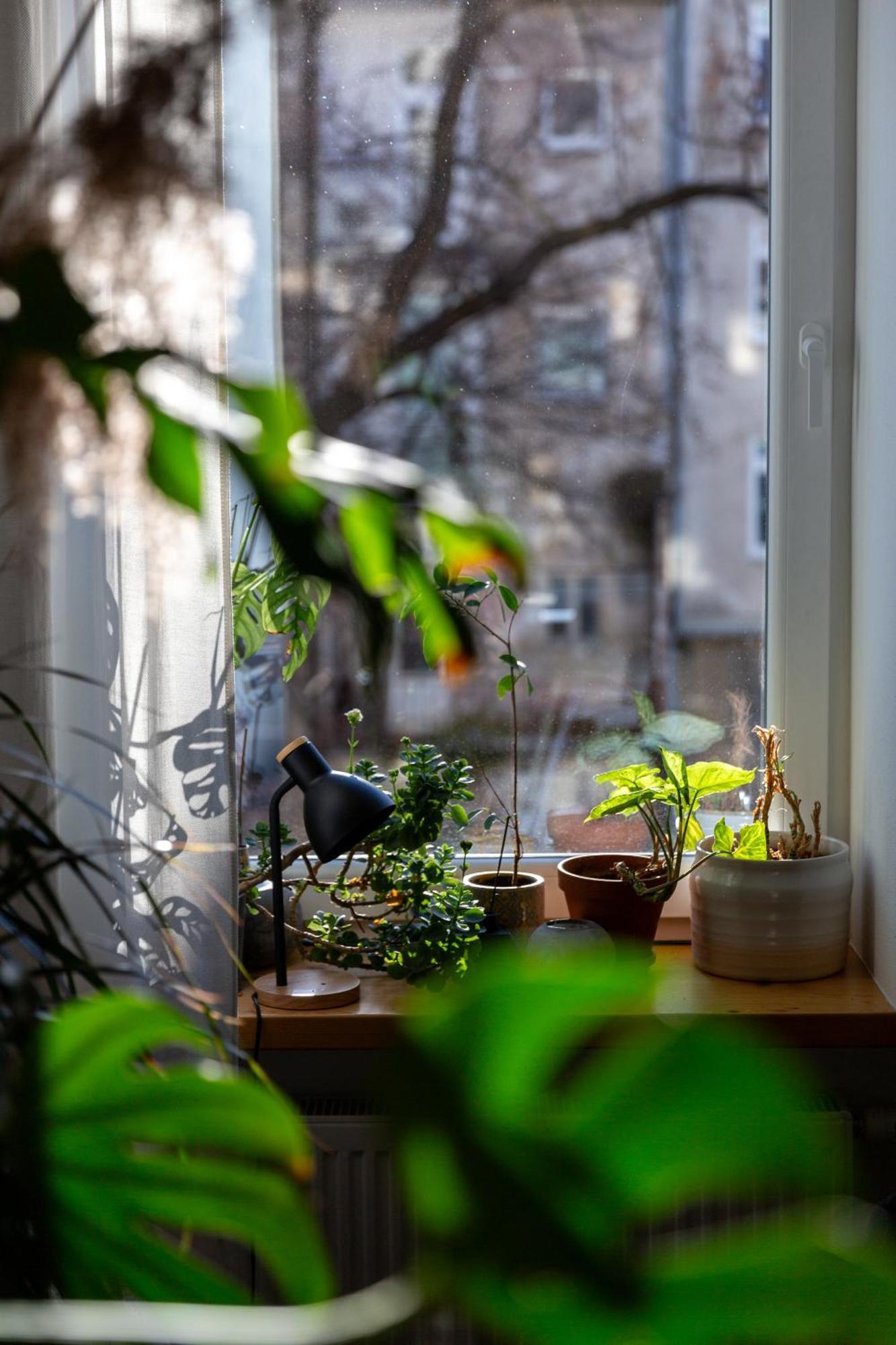 Evergreen - Old Town Spacious Stylish Apartment With Ac And One And A Half Bath, Baby & Kid- Friendly Bratislava Eksteriør bilde