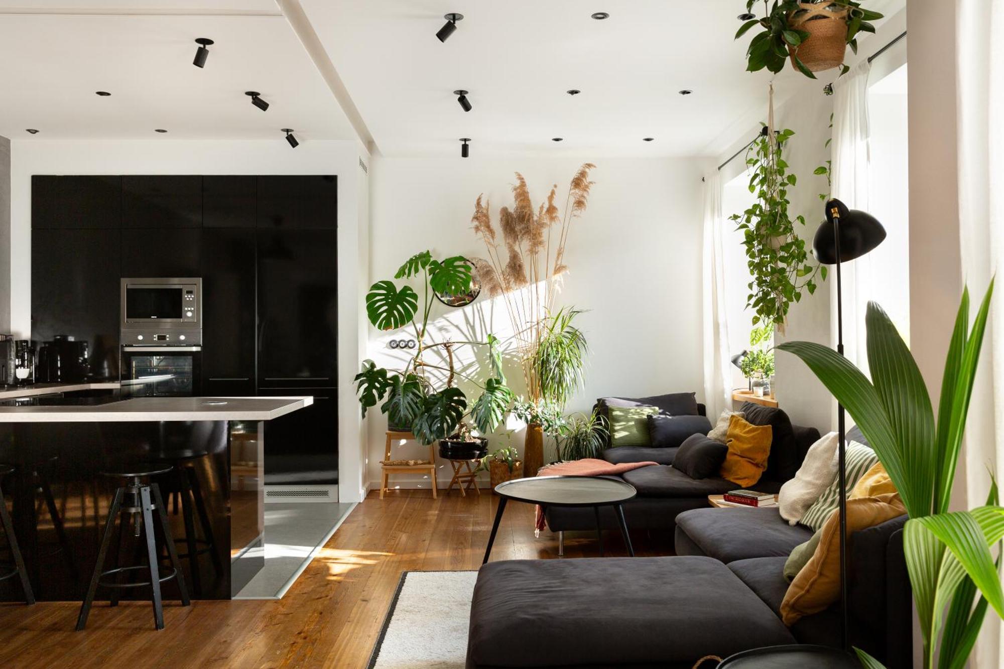 Evergreen - Old Town Spacious Stylish Apartment With Ac And One And A Half Bath, Baby & Kid- Friendly Bratislava Eksteriør bilde