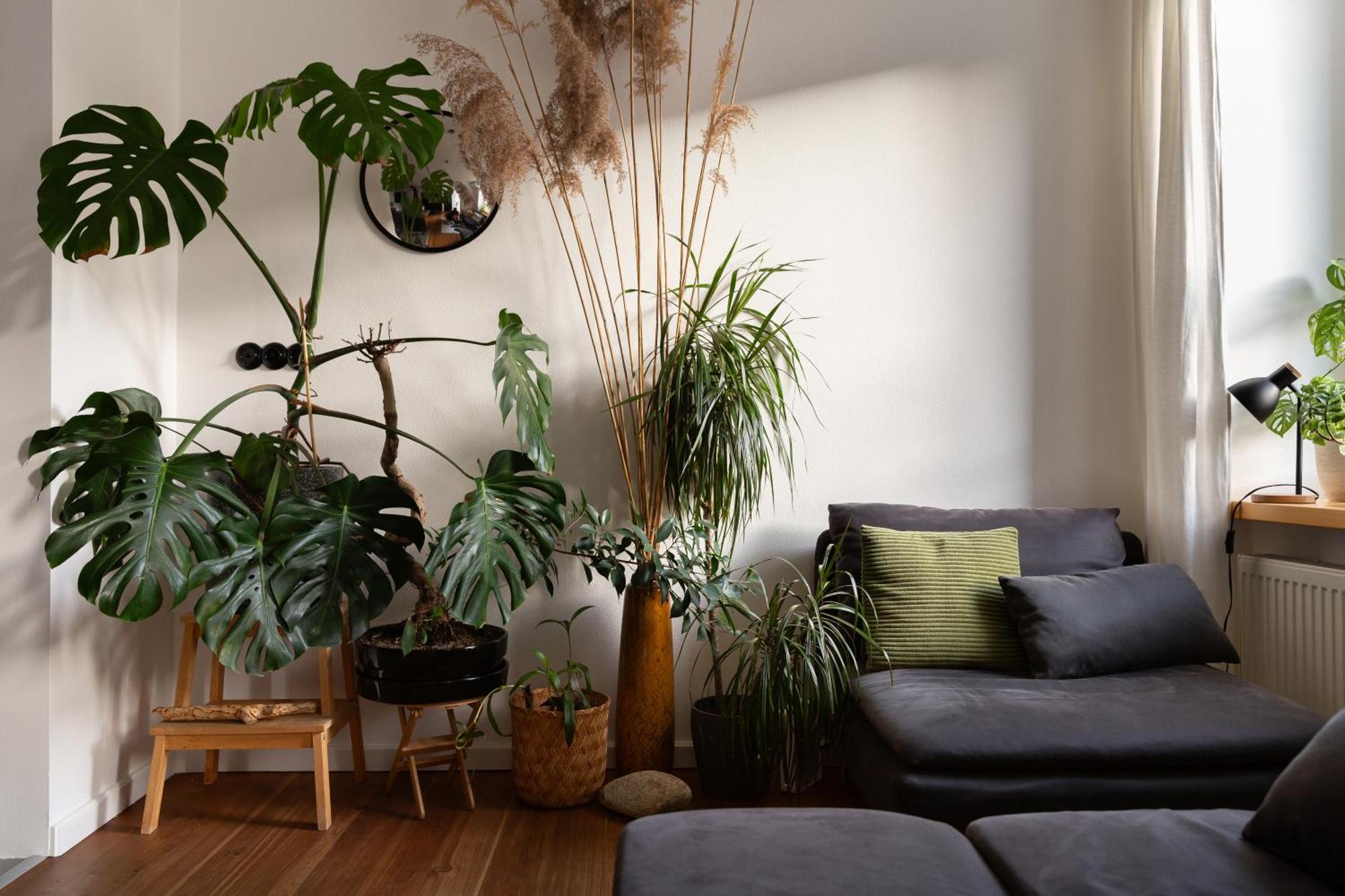 Evergreen - Old Town Spacious Stylish Apartment With Ac And One And A Half Bath, Baby & Kid- Friendly Bratislava Eksteriør bilde