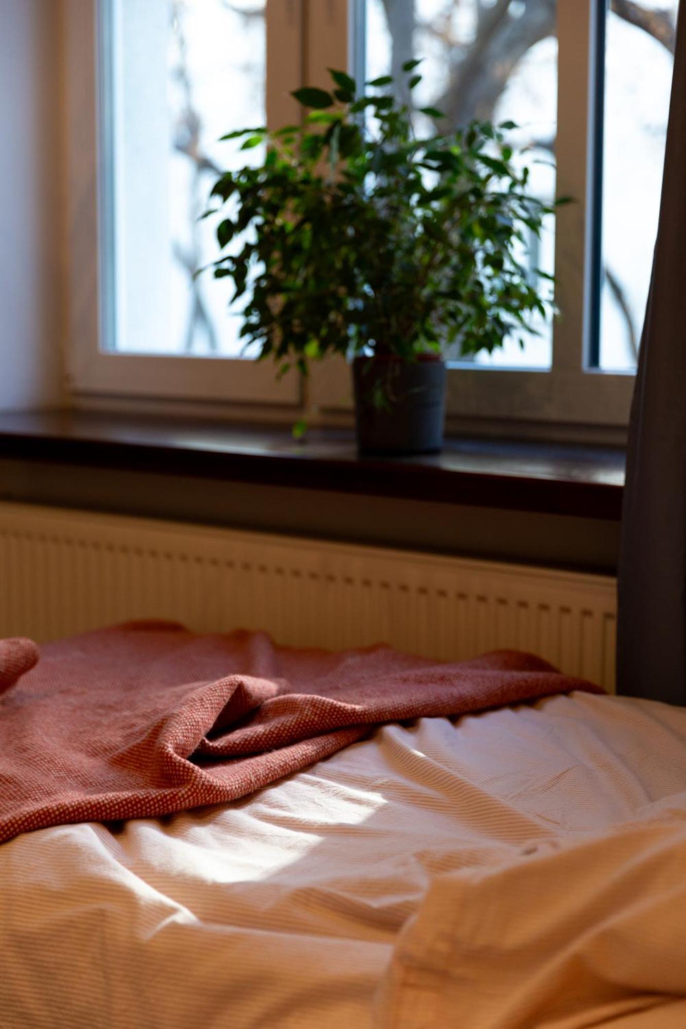 Evergreen - Old Town Spacious Stylish Apartment With Ac And One And A Half Bath, Baby & Kid- Friendly Bratislava Eksteriør bilde