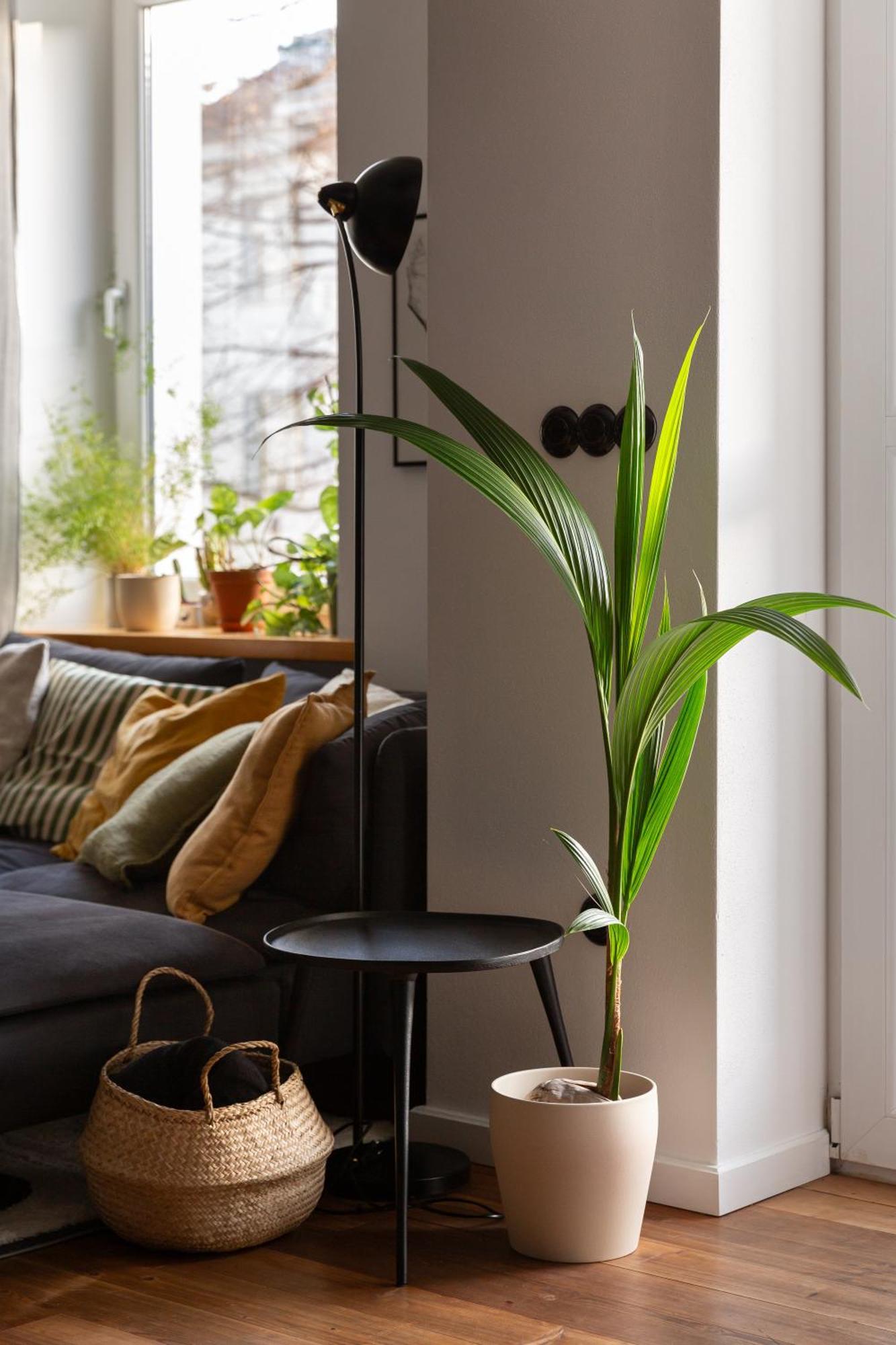 Evergreen - Old Town Spacious Stylish Apartment With Ac And One And A Half Bath, Baby & Kid- Friendly Bratislava Eksteriør bilde