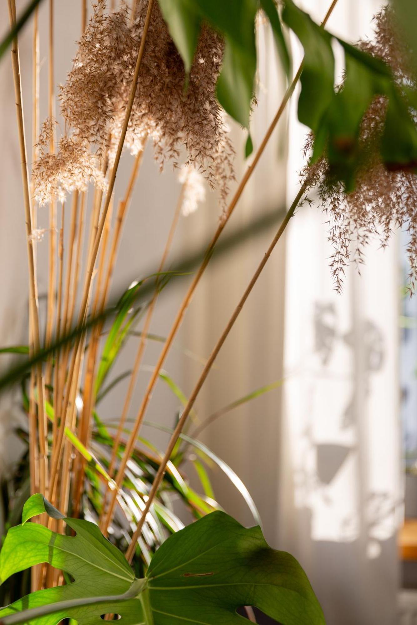 Evergreen - Old Town Spacious Stylish Apartment With Ac And One And A Half Bath, Baby & Kid- Friendly Bratislava Eksteriør bilde